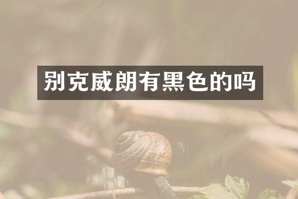 别克威朗有黑色的吗