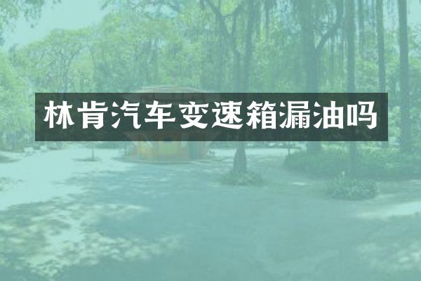 林肯汽车变速箱漏油吗