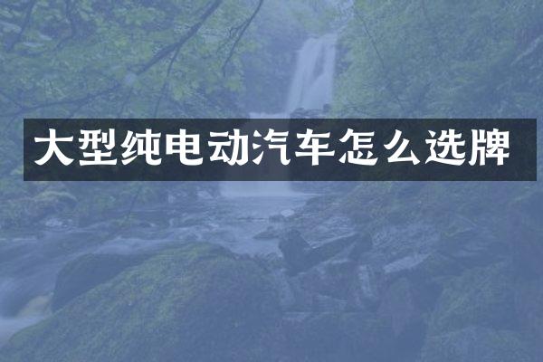 大型纯电动汽车怎么选牌