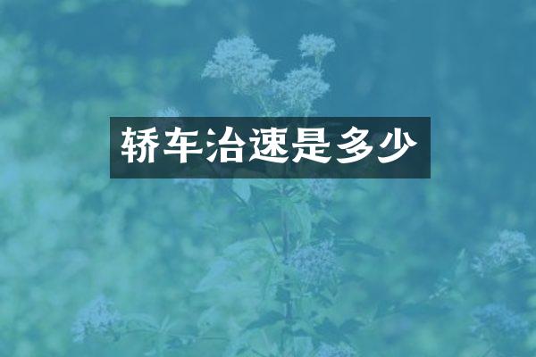轿车治速是多少