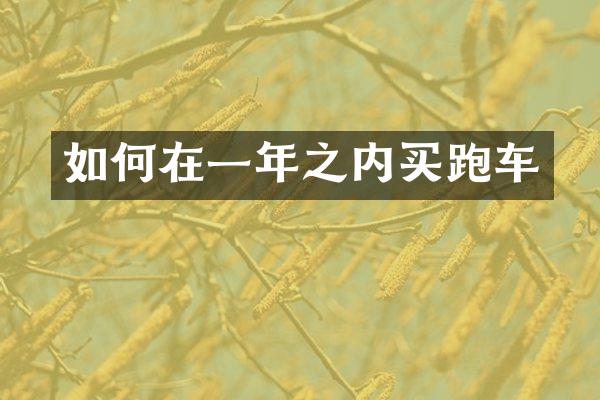如何在一年之内买跑车