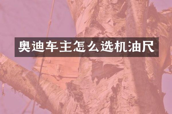奥迪车主怎么选机油尺