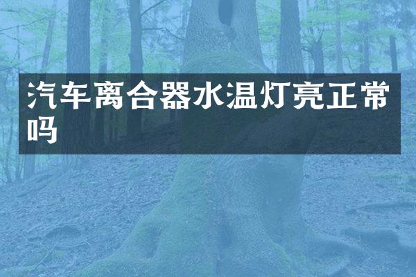 汽车离合器水温灯亮正常吗