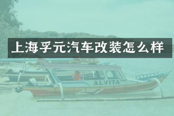 上海孚元汽车改装怎么样