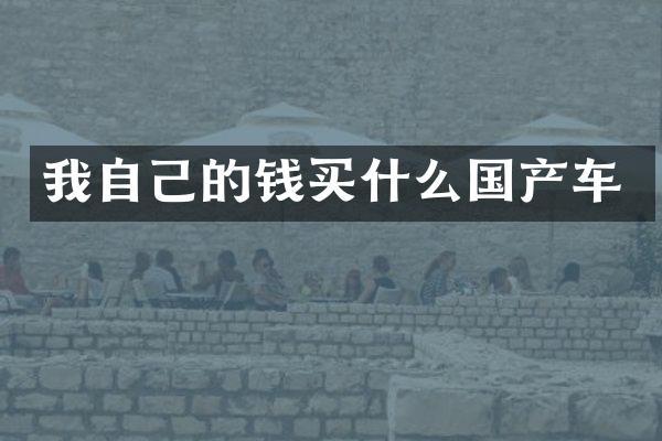 我自己的钱国产车