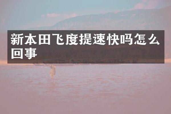 新本田飞度提速快吗怎么回事