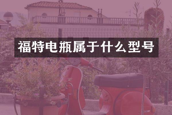 福特电瓶属于什么型号