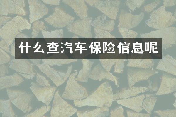 什么查汽车保险信息呢