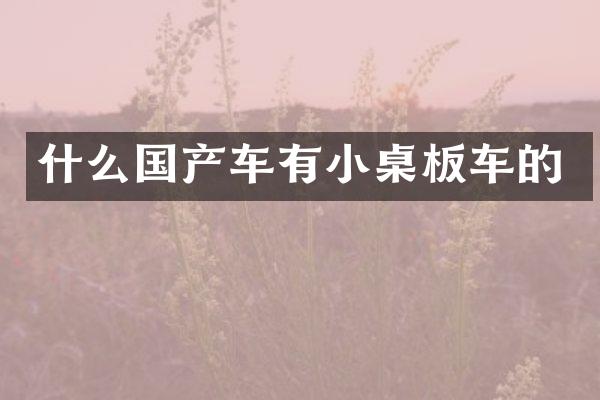 什么国产车有小桌板车的