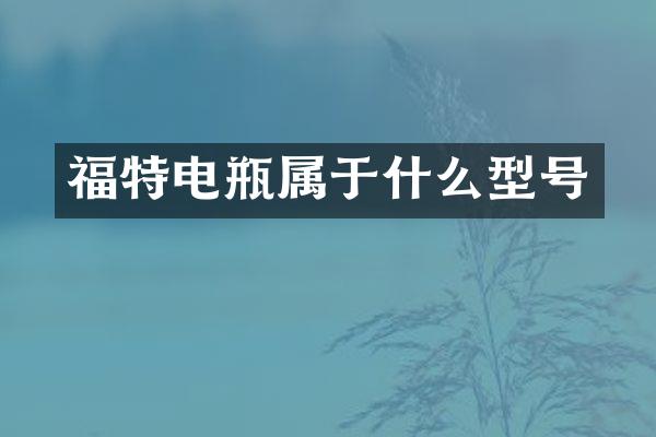 福特电瓶属于什么型号