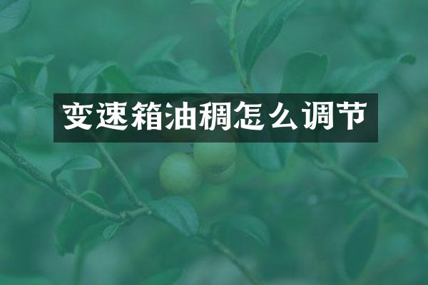 变速箱油稠怎么调节