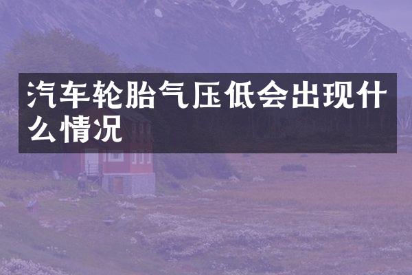 汽车轮胎气压低会出现什么情况