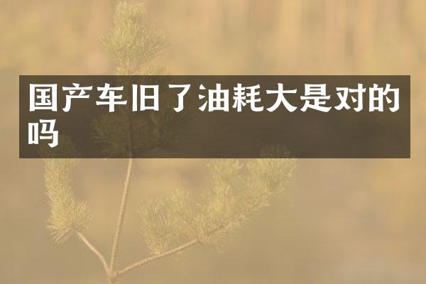 国产车旧了油耗大是对的吗