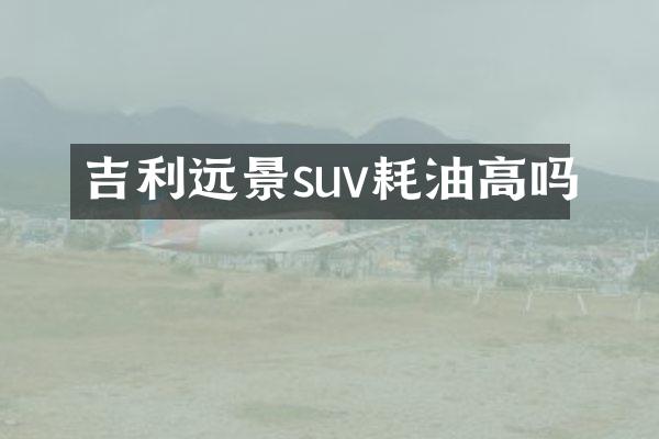 吉利远景suv耗油高吗