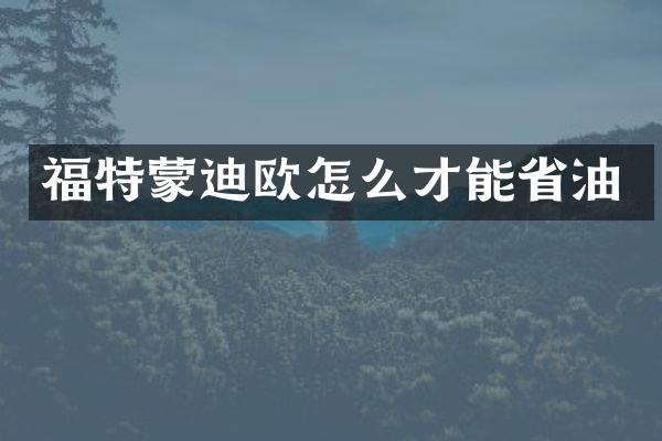 福特蒙迪欧怎么才能省油