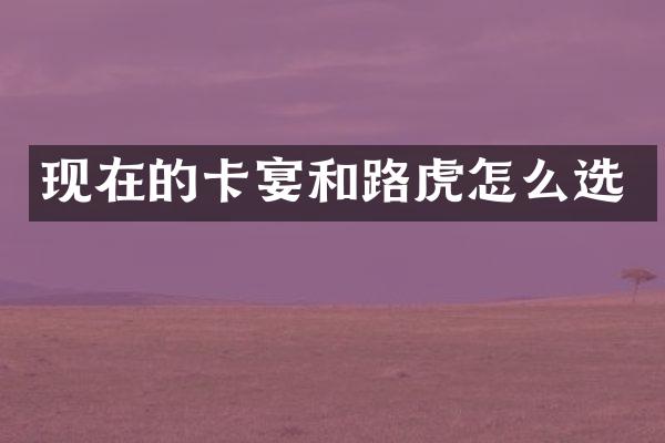 现在的卡宴和路虎怎么选