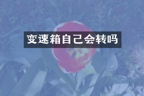 变速箱自己会转吗