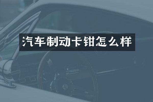 汽车制动卡钳怎么样