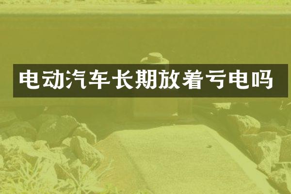 电动汽车长期放着亏电吗