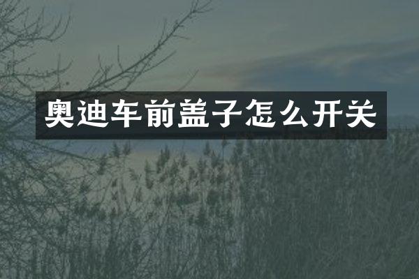 奥迪车前盖子怎么开关
