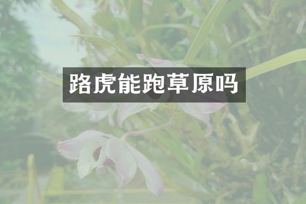 路虎能跑草原吗