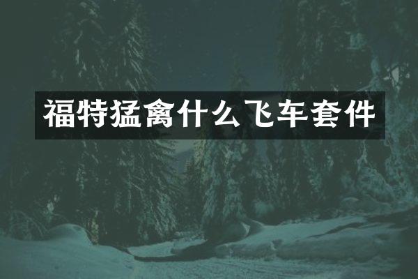 福特猛禽什么飞车套件