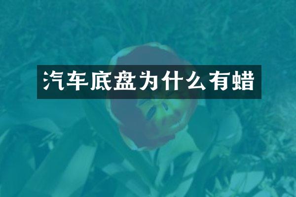 汽车底盘为什么有蜡