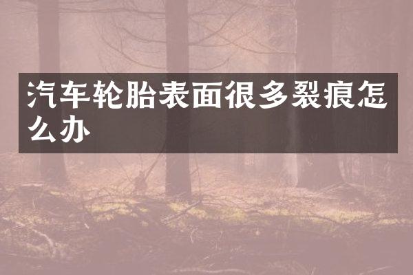 汽车轮胎表面很多裂痕怎么办