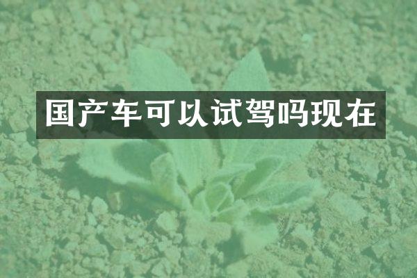 国产车可以试驾吗现在