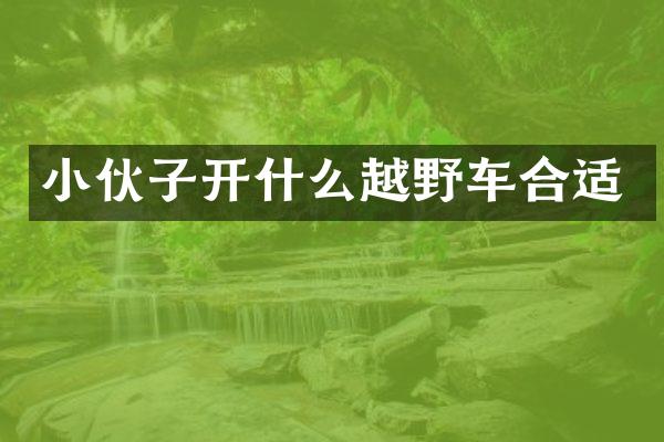 小伙子开什么越野车合适