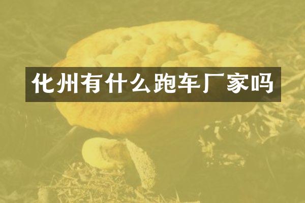 化州有什么跑车厂家吗