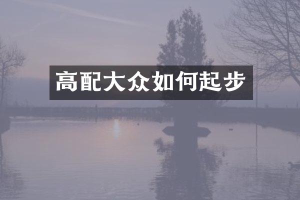 高配大众如何起步