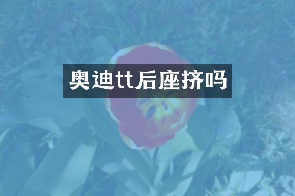 奥迪tt后座挤吗