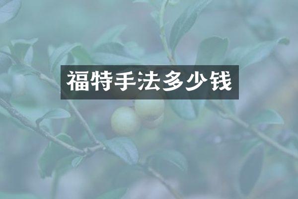 福特手法多少钱