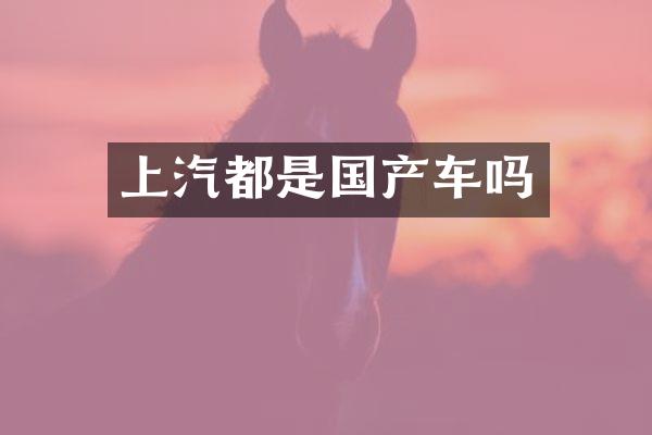 上汽都是国产车吗