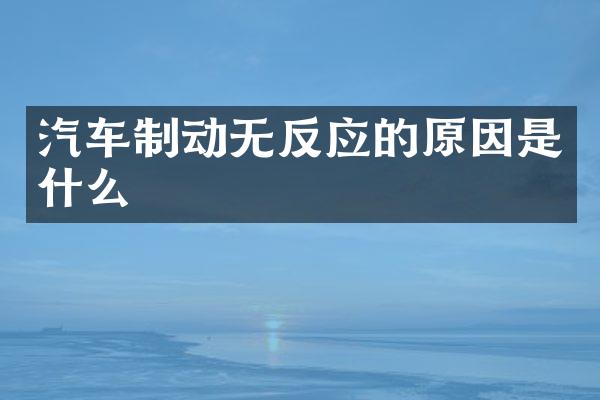 汽车制动无反应的原因是什么
