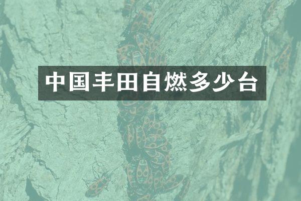 中国丰田自燃多少台