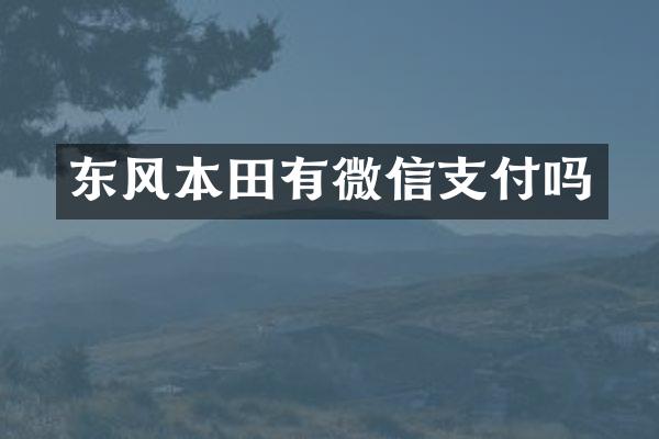 东风本田有微信支付吗