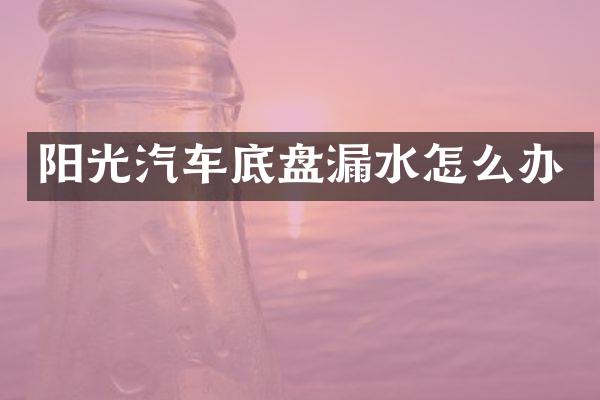 阳光汽车底盘漏水怎么办