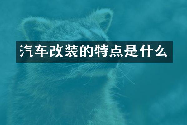 汽车改装的特点是什么