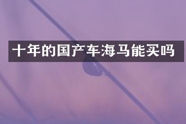 十年的国产车海马能买吗