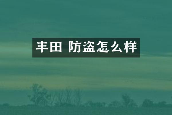 丰田 防盗怎么样