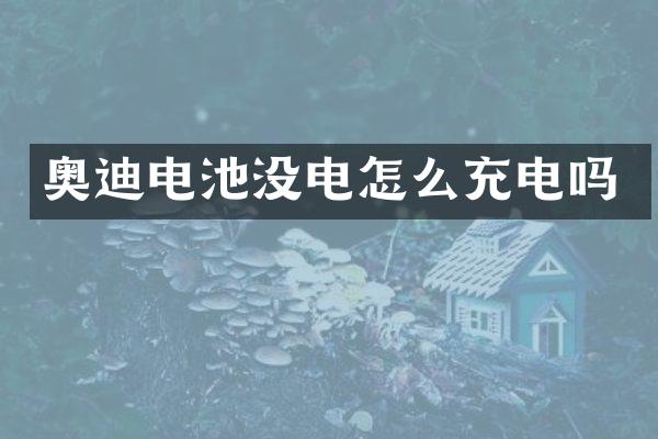 奥迪电池没电怎么充电吗