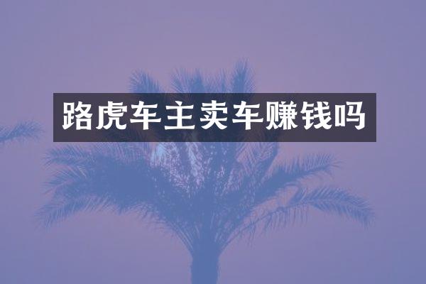 路虎车主卖车赚钱吗
