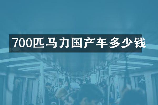 700匹马力国产车多少钱