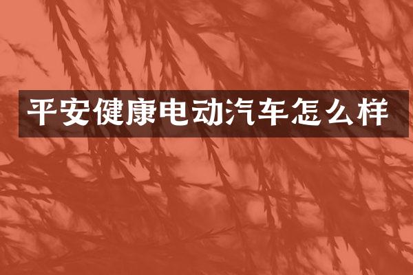平安健康电动汽车怎么样