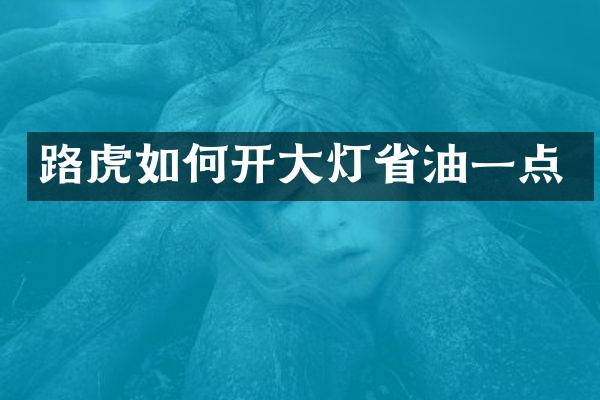 路虎如何开大灯省油一点