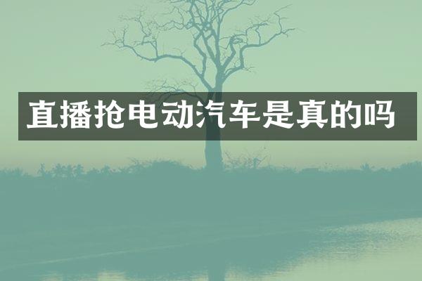 直播抢电动汽车是真的吗