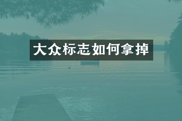 大众标志如何拿掉