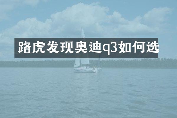 路虎发现奥迪q3如何选
